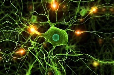 Conexión entre el cerebro y las prótesis robóticas