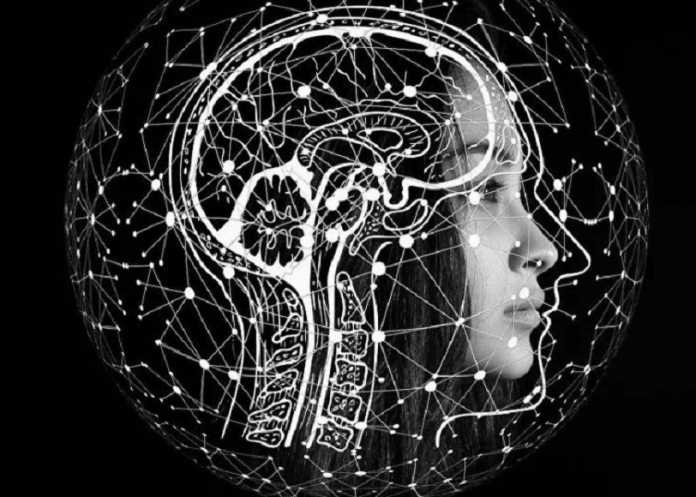 neuro.jpg