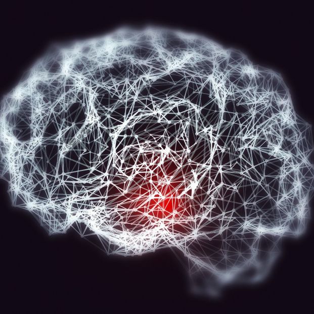 NEURONAL.jpeg